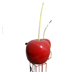 Nhận gia công mô hình trái cherry bằng xốp giá rẻ số #1