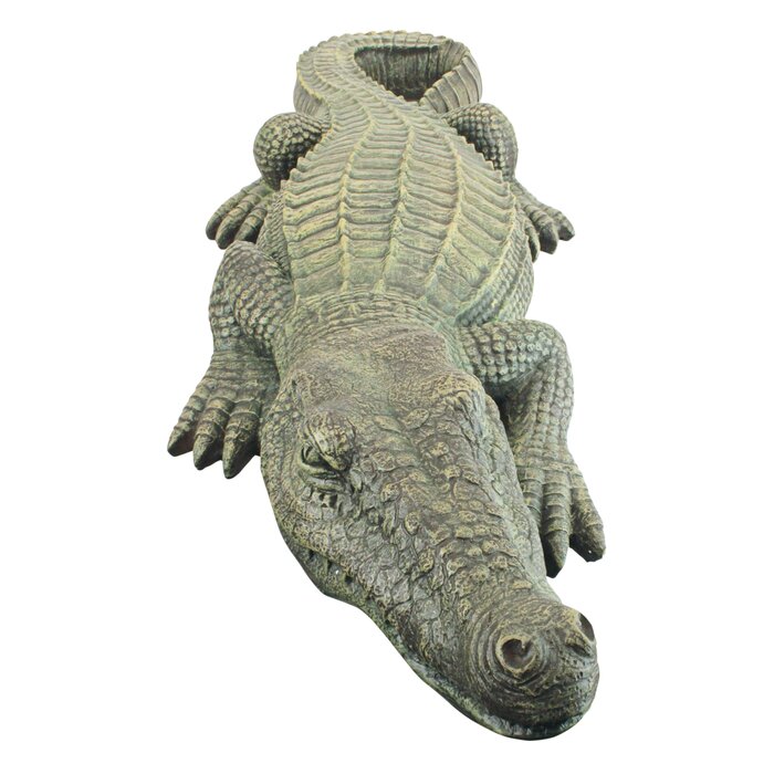 Cá sấu lao khỏi mặt nước cắn chân người ở Florida  Lạ vui  Việt Giải Trí
