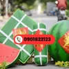 mo hinh tet banh chung 27432